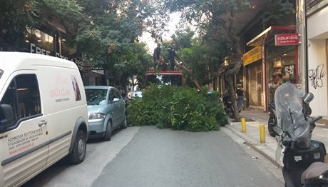 Έκοψαν επικίνδυνο δέντρο σε δρόμο στη Θεσσαλονίκη