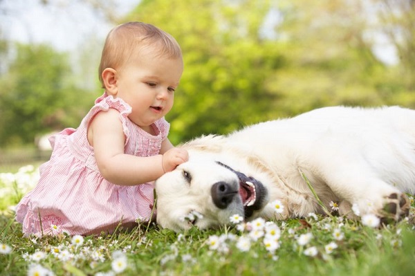 Τα παιδιά που αγαπούν τα ζώα γίνονται καλύτεροι άνθρωποι!
