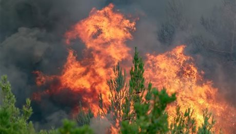 Ξέσπασε πυρκαγιά σε αγροτοδασική έκταση στη Φθιώτιδα
