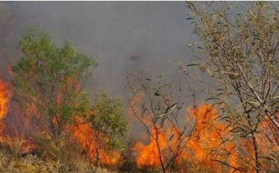 Συναγερμός στην πυροσβεστική: Φωτιά καίει την Κρήτη!