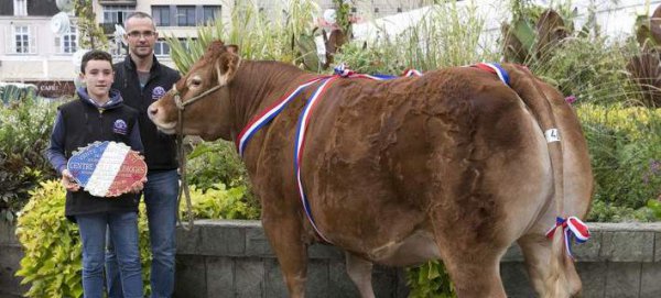 Η πιο ακριβή… αγελάδα της Ευρώπης πουλήθηκε χιλιάδες ευρώ (ΦΩΤΟ)