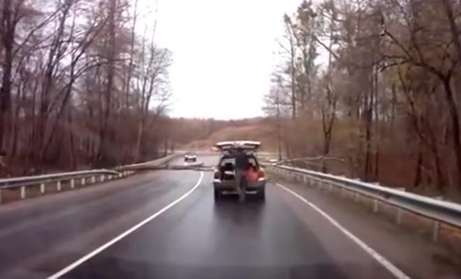 Έγινε viral: Δείτε τι συνέβη όταν ένα δένδρο έπεσε στον δρόμο… [Βίντεο]