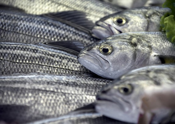 Τα λέπια ψαριών είναι η ανανεώσιμη πηγή ενέργειας του μέλλοντος;