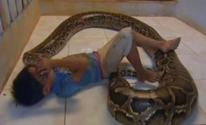 Το μωρό κοιμόταν κάθε μέρα με ένα τεράστιο φίδι. Αυτό που συνέβη 11 χρόνια μετά; Δεν θα το πιστεύετε! [Βίντεο]