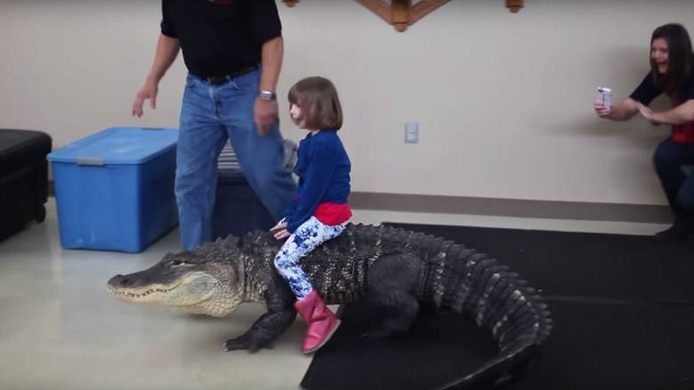 Παιδάκι ιππεύει αλιγάτορα σε πάρτι γενεθλίων (βίντεο)
