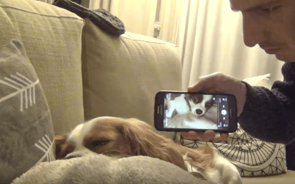 Απίστευτο βίντεο: Έτσι θα βάλετε «φρένο» στο ροχαλητό του σκύλου σας (βίντεο)