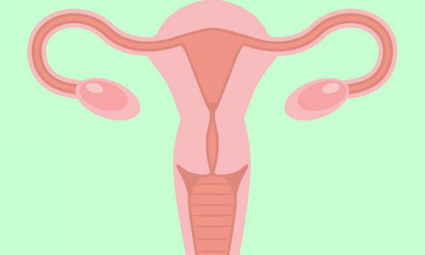 Υγεία ωοθηκών: 5 πράγματα που πρέπει να γνωρίζει κάθε γυναίκα