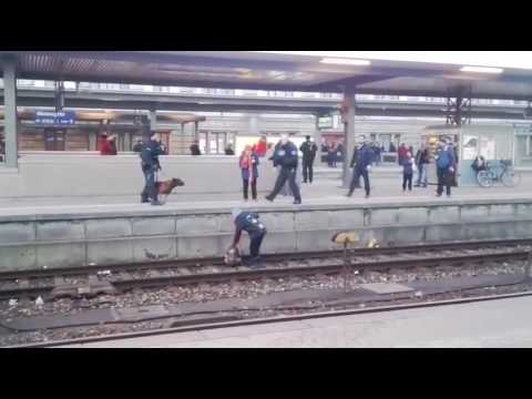 Σκύλος της αστυνομίας ρίχνει γυναίκα σε γραμμές τρένου