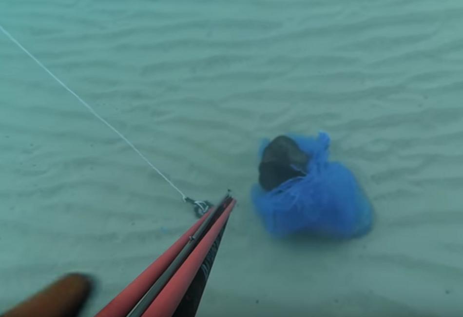 Κρήτη: Δύτης βρήκε κουτάβι σε σακούλα με πέτρες μέσα στη θάλασσα [vid – Σκληρές Εικόνες]