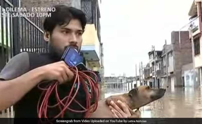 Ρεπόρτερ-ήρωας σταμάτησε τη ζωντανή σύνδεση και έσωσε σκυλάκι από πνιγμό (βίντεο)