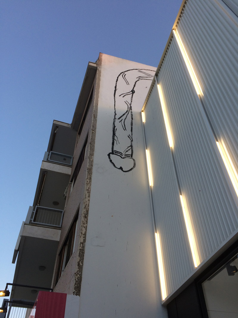 Γκραφιτάδες γέμισαν την Αθήνα με… φαλλούς