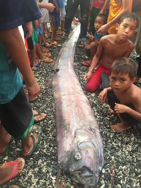 Τρόμος: Μυστηριώδες γιγάντιο ψάρι που ξεβράστηκε στην ακτή προμηνύει μεγάλο σεισμό!  [photos]