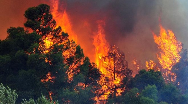 62 δασικές πυρκαγιές εκδηλώθηκαν σε όλη την Ελλάδα το τελευταίο 24ωρο