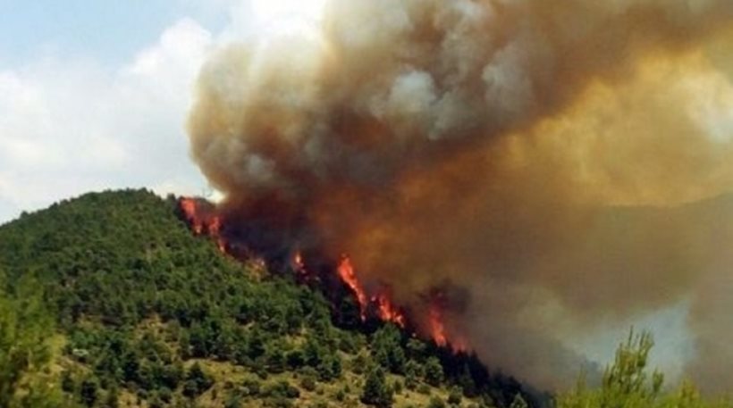 Καλαμάτα: Πυρκαγιά στην περιοχή Μιλά Μεσσηνίας