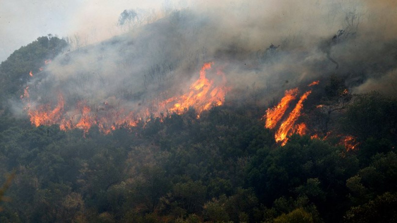 Μεγάλη φωτιά στα Καλύβια κοντά σε σπίτια