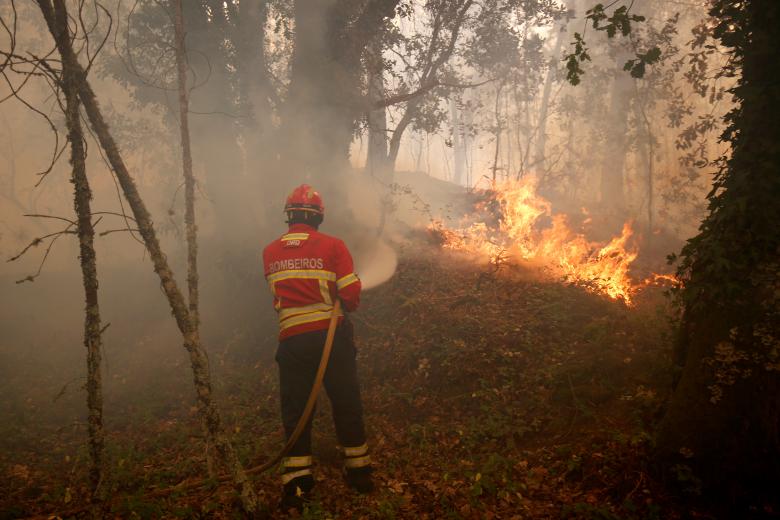Πυροσβέστες «ξαπλώνουν στο γρασίδι» και η φωτογραφία τους κάνει όλο το ίντερνετ να υποκλιθεί