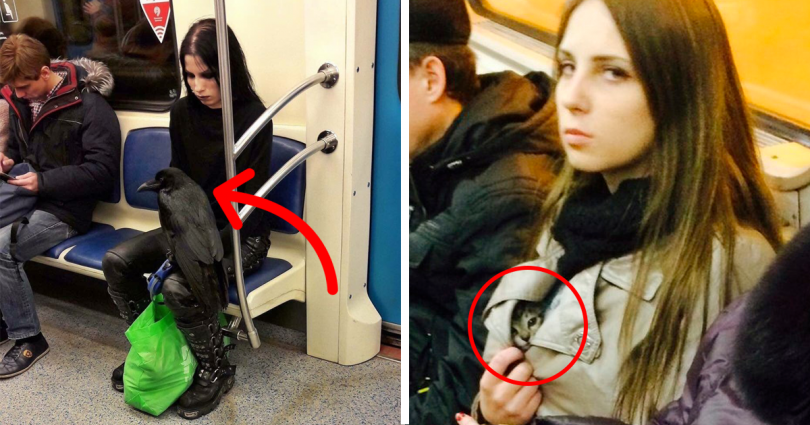 20 Τραγικές περιπτώσεις ανθρώπων που θα έπρεπε να τους απαγορευτεί η είσοδος στο μετρό. Ο 6ος είναι ο χειρότερος όλων!