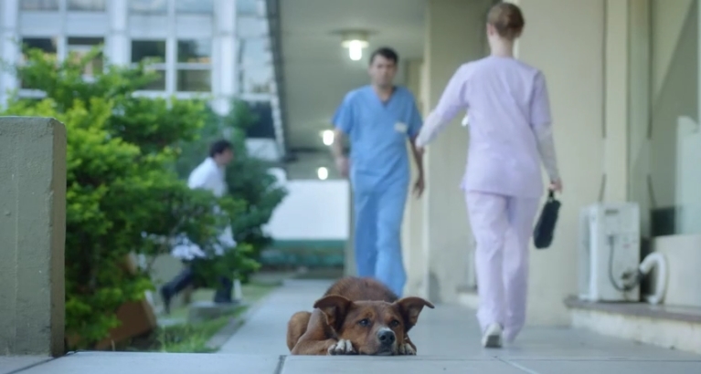 "The Man and the Dog": Η τρυφερή διαφήμιση που κάνει το γύρο του διαδικτύου (βίντεο)