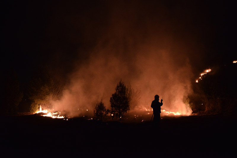 Εμπρησμός πίσω από την πυρκαγιά στο Άλσος Βεΐκου