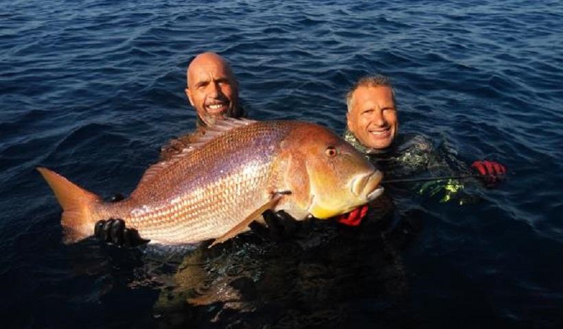 Παγκόσμιο ρεκόρ για Έλληνα ψαροντουφεκά που έπιασε συναγρίδα 11 κιλών [φωτο]