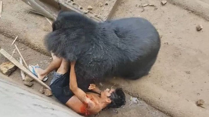 Ταϊλάνδη: Αρκούδα έσυρε στο κλουβί της άνδρα που την προκαλούσε [βίντεο]