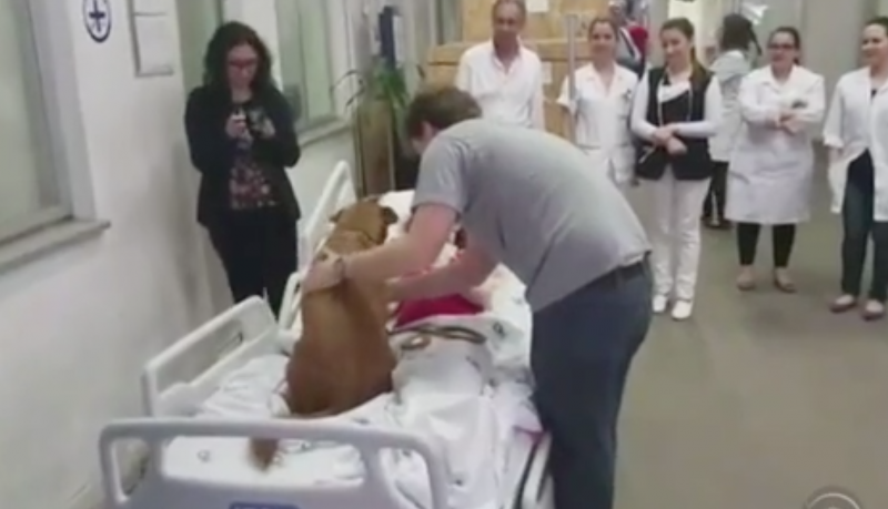 Η κατάστασή της επιδεινώνονταν – Άφησαν το σκύλο της να τη δει για μια τελευταία αγκαλιά (βίντεο)