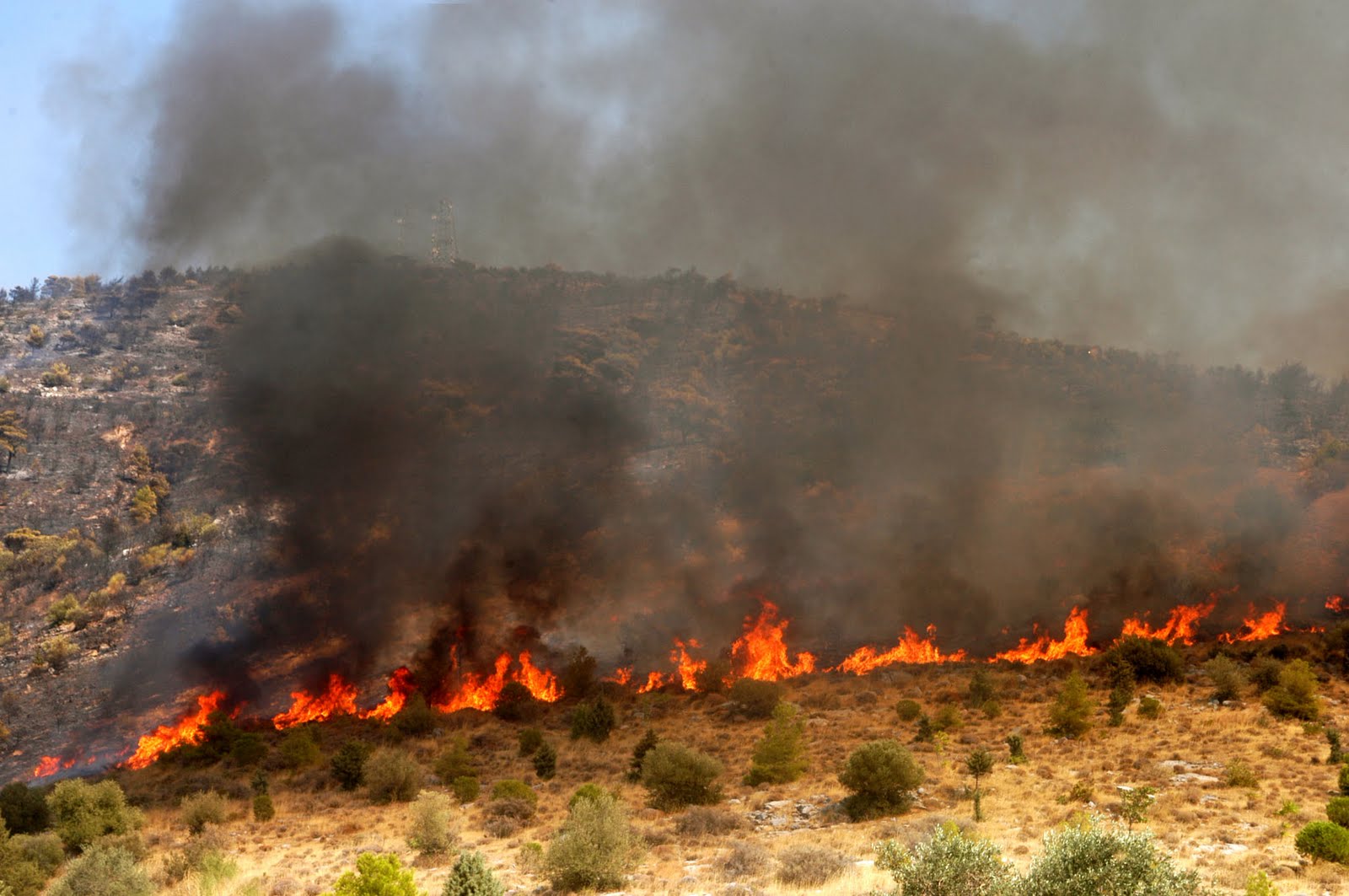 Πολύ υψηλός κίνδυνος πυρκαγιάς σήμερα – Ποιες περιοχές κινδυνεύουν