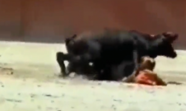Ταύρος… ασέλγησε πάνω σε γυναίκα ταυρομάχο κατά τη διάρκεια ταυρομαχίας (βίντεο)