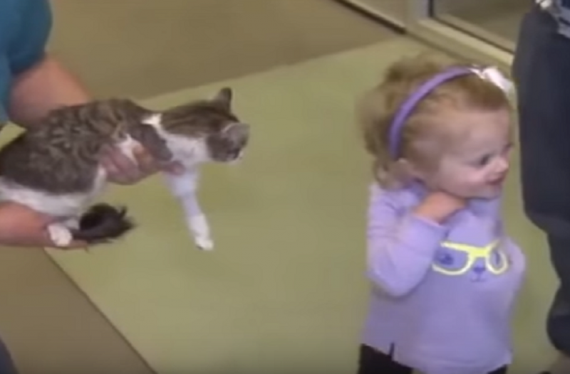 Κοριτσάκι με ένα χέρι υιοθετεί γατάκι με τρία πόδια – Η τρυφερή στιγμή της συνάντησής τους (βίντεο)