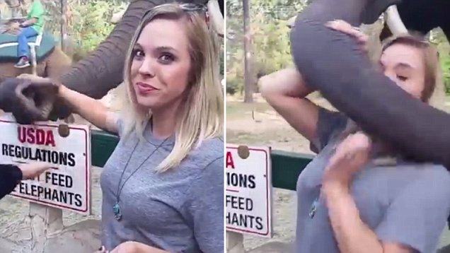 Πήγε να βγάλει selfie με έναν ελέφαντα αλλά εκείνος της έριξε "σφαλιάρα" [βίντεο]