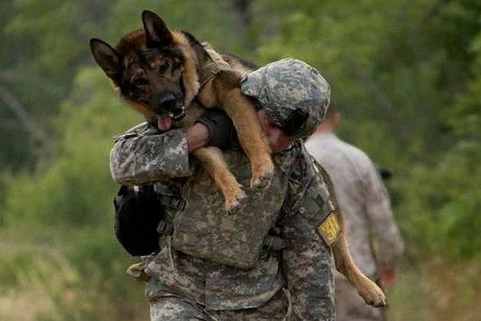 Viral έγινε ο στρατιώτης που πήρε στον ώμο του τον πληγωμένο σκύλο του [φωτο]