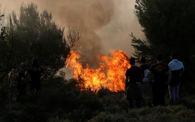 Εύβοια: Ολονύχτια μάχη με τις φλόγες στη Σέτα
