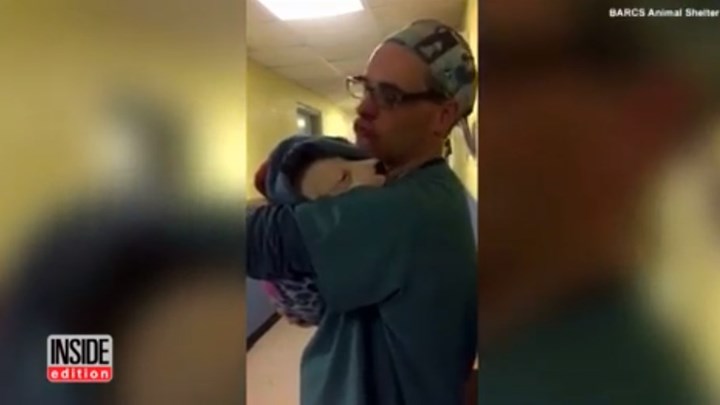 Κτηνίατρος παρηγορεί κουτάβι μετά από εγχείρηση και συγκινεί τα social media (βίντεο)