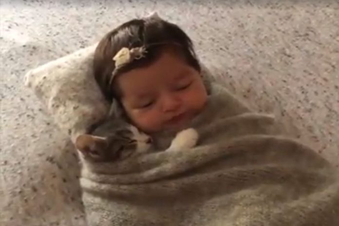 Μωρό και νεογέννητη γατούλα κοιμούνται αγκαλιά και γίνονται viral [βίντεο]