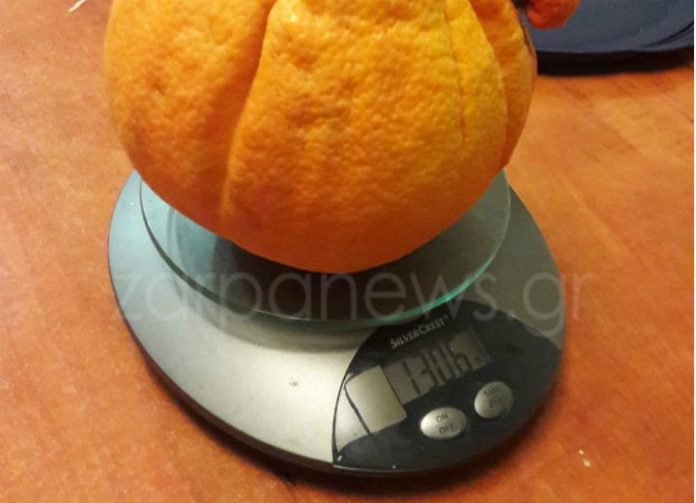Τεράστιο πορτοκάλι για ρεκόρ Γκίνες σε περιβόλι των Χανίων (εικόνες)