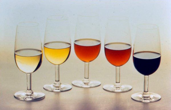 9 εντυπωσιακά μικροπράγματα που δεν ξέρατε για το κρασί
