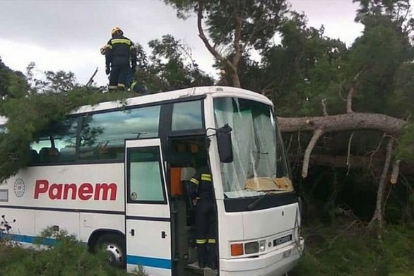 Δέντρο έπεσε επάνω σε λεωφορείο στην Κεφαλονιά [φωτο]