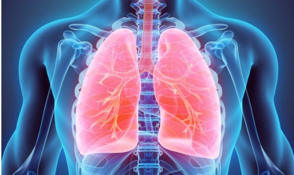 Οι 6 τροφές που βοηθούν να καθαρίσετε τους πνεύμονες από τη νικοτίνη
