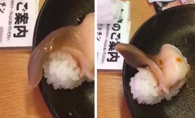 Πελάτης παθαίνει σοκ όταν βλέπει τι του σερβίρουν σε διάσημο εστιατόριο για Sushi