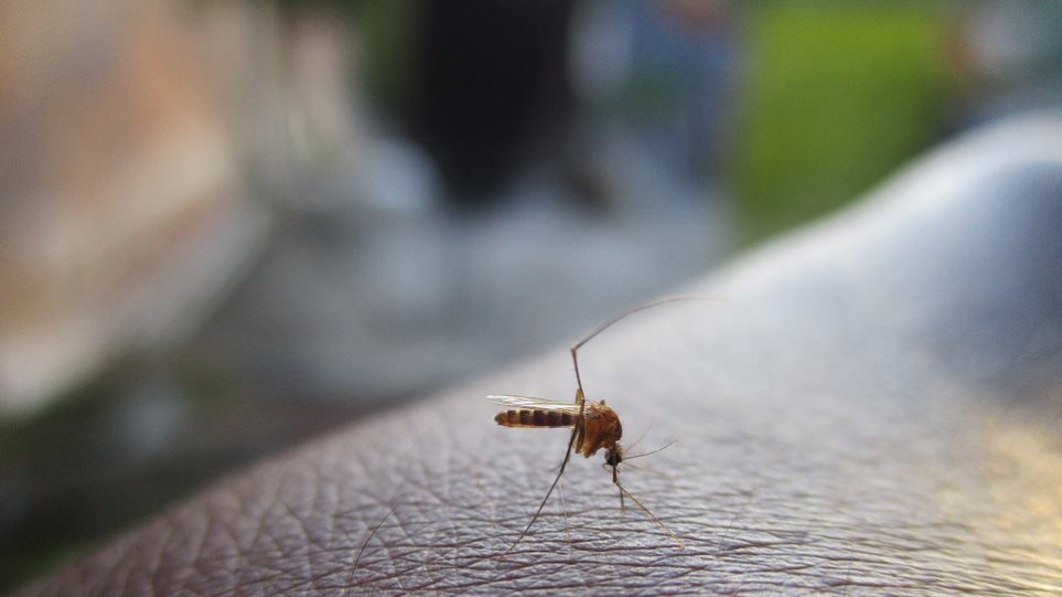 Εφαρμογή κινητού θα προειδοποιεί τον χρήστη όταν πλησιάζει κουνούπι