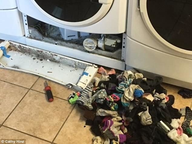 Φωτογραφίες δείχνουν πως το πλυντήριο ρούχων τρώει τις κάλτσες μας
