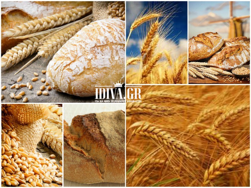 Όλα τα μυστικά για το παραδοσιακό ψωμί