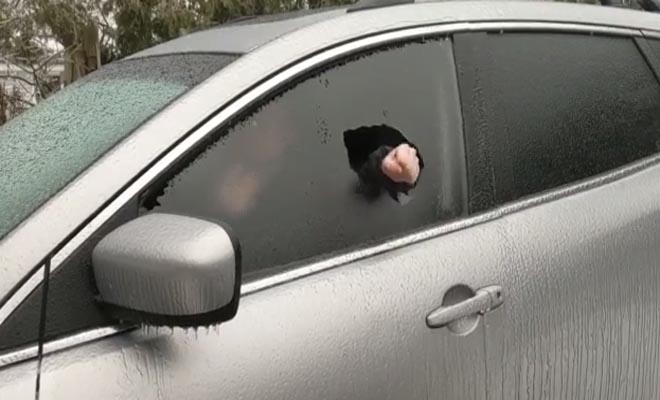 Τι πιστεύετε ότι σπάει αυτή η γυναίκα στο αυτοκίνητό της; [Βίντεο]