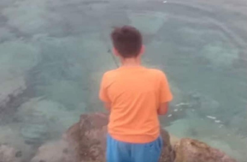 Κρήτη: Παιδί πέταξε το αγκίστρι του και έβγαλε αυτό το… θηρίο (βίντεο)