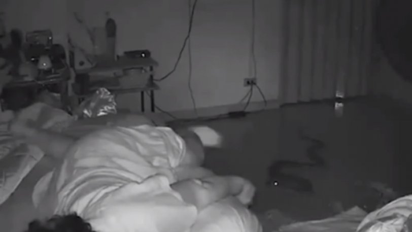 Πύθωνας επιτέθηκε σε ηλικιωμένη ενώ κοιμόταν στο κρεβάτι της [φωτο+βίντεο]