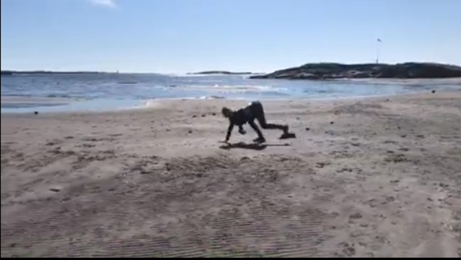 Κοπέλα από τη Νορβηγία καλπάζει σαν πραγματικό άλογο [φωτο+βίντεο]