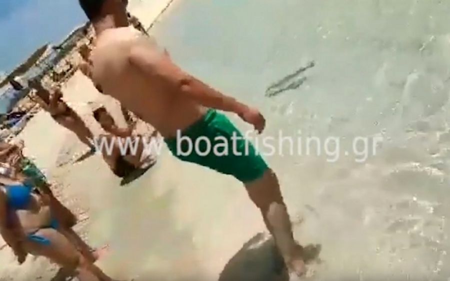 Πανικός σε παραλία της Καρπάθου: Λαγοκέφαλος δάγκωσε λουόμενο (βίντεο)