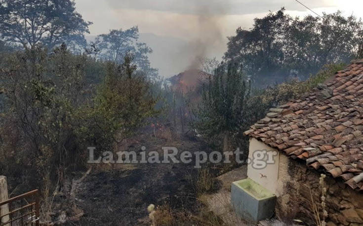 Φωτιά στη Δίβρη Φθιώτιδας: Φωτορεπορτάζ από τις φλόγες να περνούν δίπλα από τα σπίτια