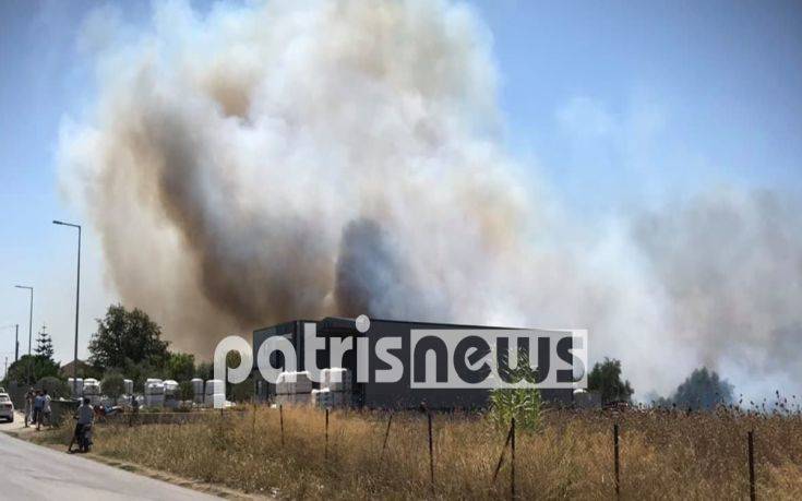 Εικόνες και βίντεο από τη φωτιά στη Βάρδα Ηλείας