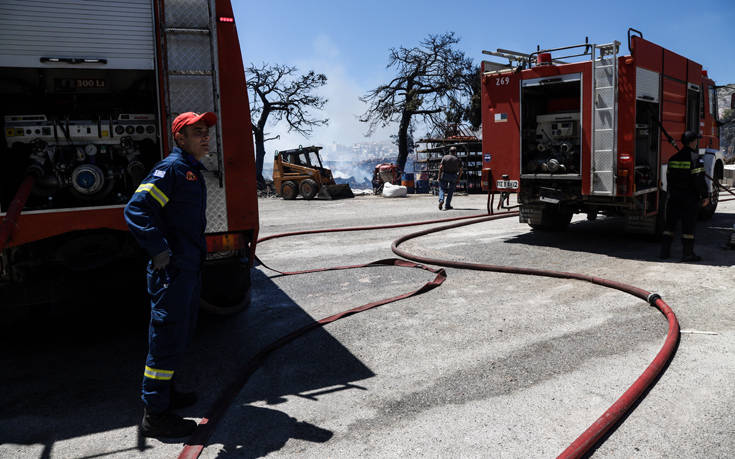 Πυρκαγιά σε χαμηλή βλάστηση στην περιοχή Αμυγδαλέα Λάρισας